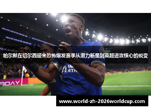 帕尔默在切尔西迎来恐怖爆发赛季从潜力新星到英超进攻核心的蜕变